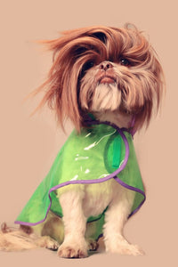 Vinyl Dog Raincoat! Transparent travel raincoat! All breeds!